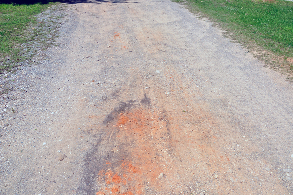 dirt road leading to campsites